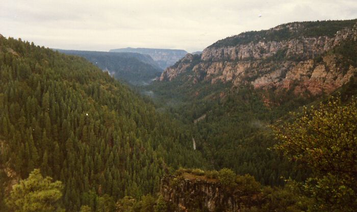 Oak Creek Canyon