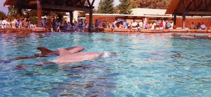 San Diego - Sea World
