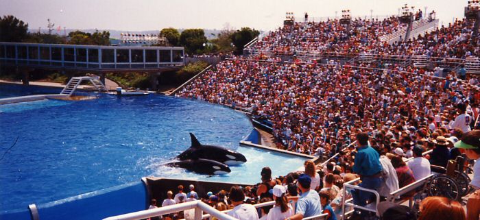 San Diego - Sea World