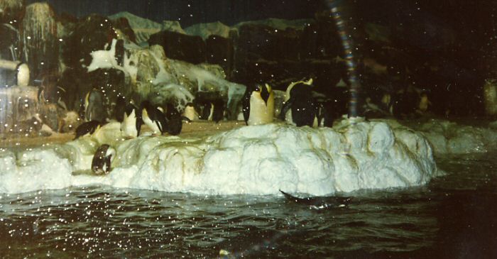 San Diego - Sea World