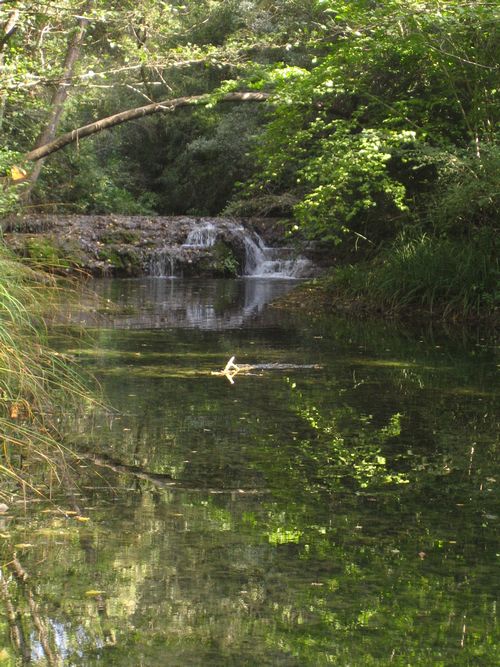 Moli del Murris
