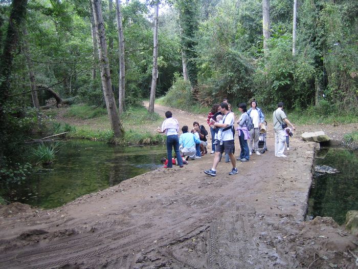 Moli del Murris