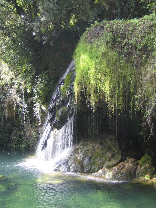 Mol&iacute; dels Murris