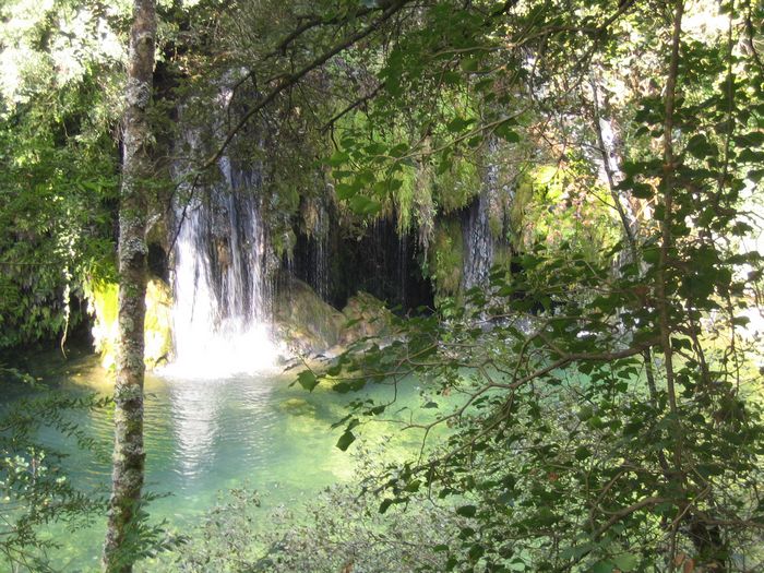 Mol&iacute; dels Murris