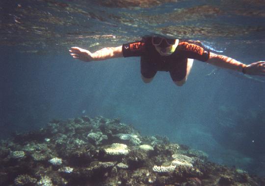 Greet Barrier Reef