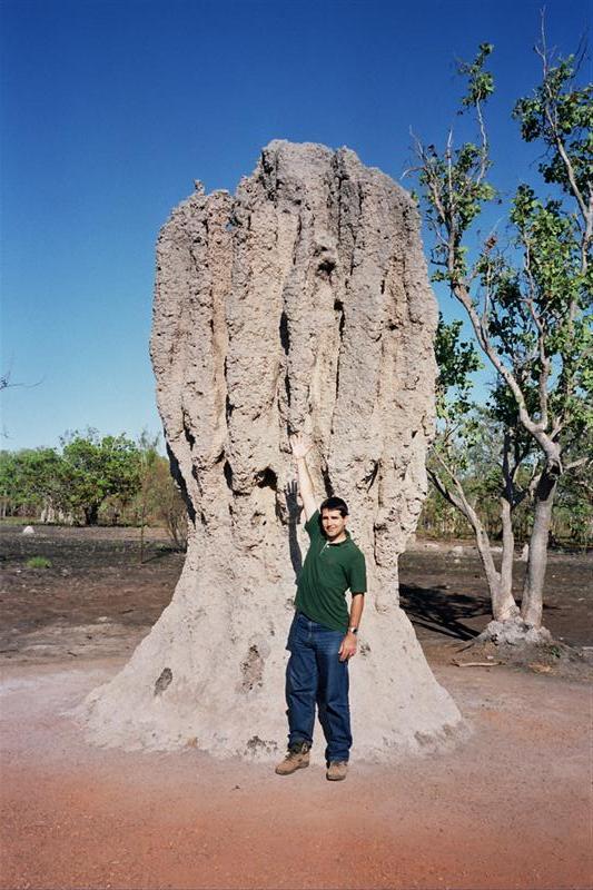 P.N.Kakadu - Termitero