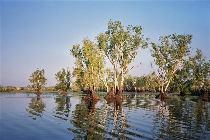 P.N.Kakadu - Yellow Waters