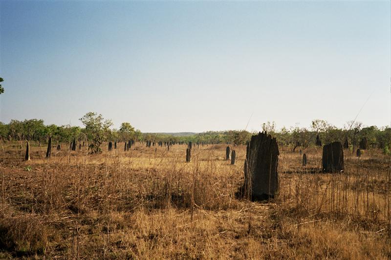 P.N.Litchfield - Magnetic Mounds