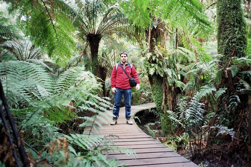 Otway N.P. - Maits Rest