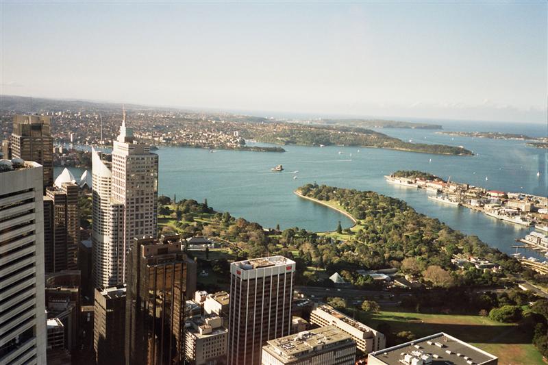 Bahía desde AMP Tower