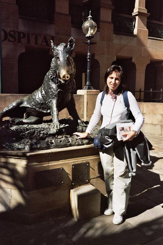 Il Porcellino Sydney Hospital