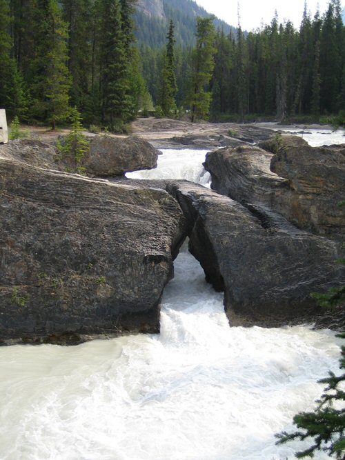 Yoho - Natural Bridge