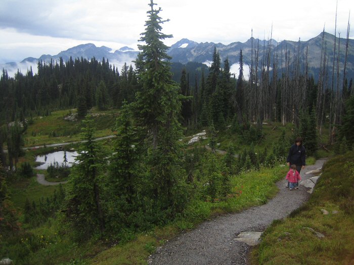 Mount Revelstoke - Meadows in the Sky