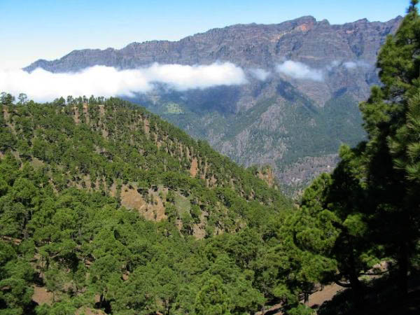 P.N. Caldera de Taburiente - La cumbrecita