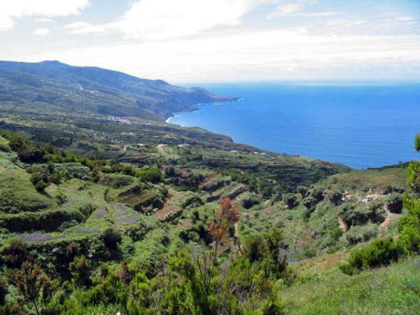 Road towards Gallegos