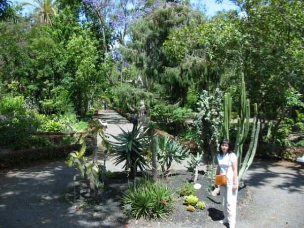 Puerto de la Cruz - Botanical garden