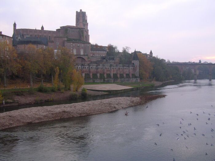 Albi