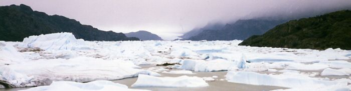 Torres del Paine N.P. - Lake Grey
