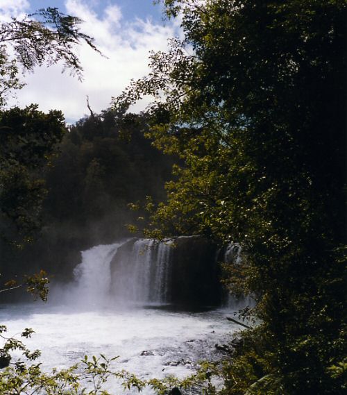Puyehue National Park - Salto del Indio