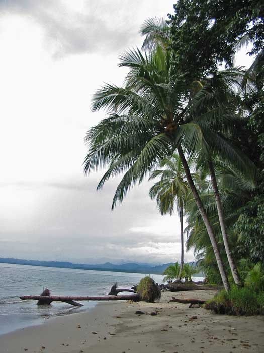 P.N.Cahuita