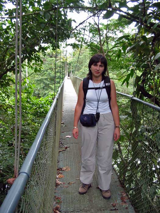 Centro Neotr&oacute;pico Sarapiqu&iacute;s - Canopy