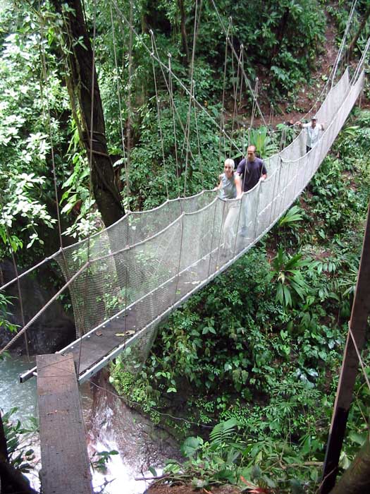 Rainmaker - Puente colgante
