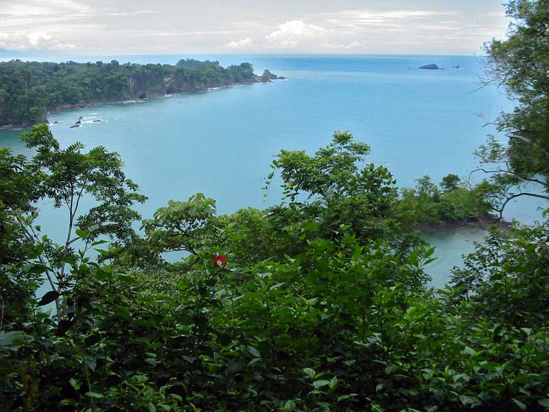 Manuel Antonio N.P. - El mirador (viewpoint)