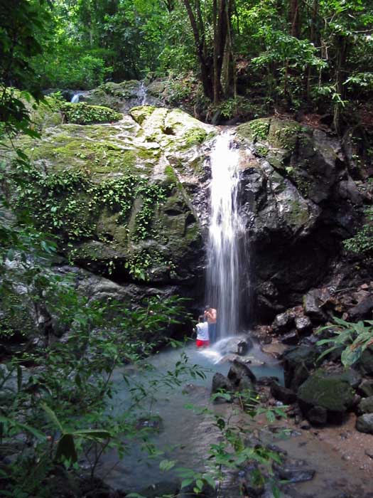 Manuel Antonio N.P. - La catarata ()waterfall