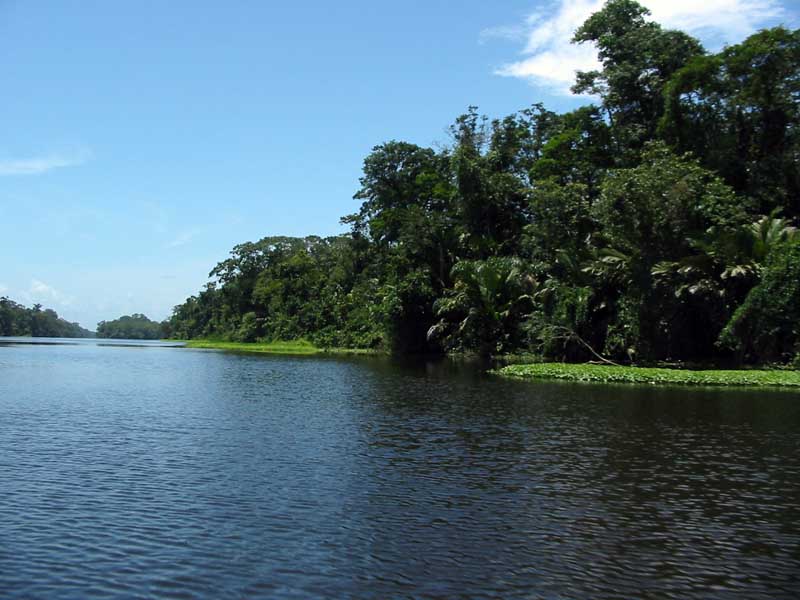 Tortuguero channel
