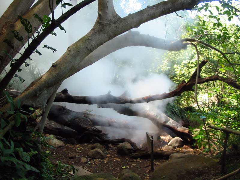 Rincón de la Vieja National Park - Fumaroles