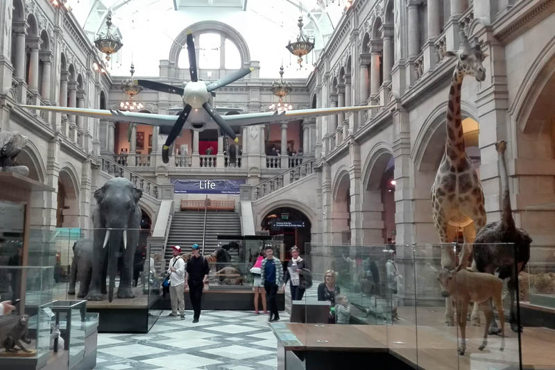 Glasgow - Kelvingrove museum
