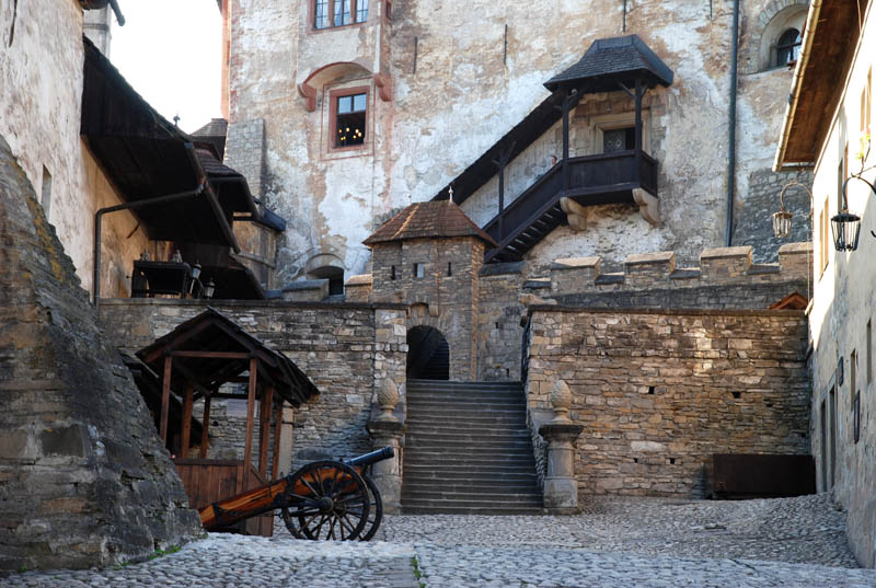 Orava