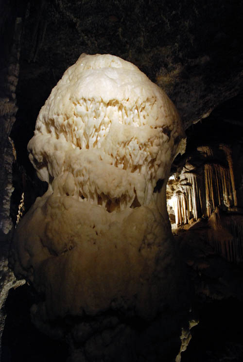 Postojna caves