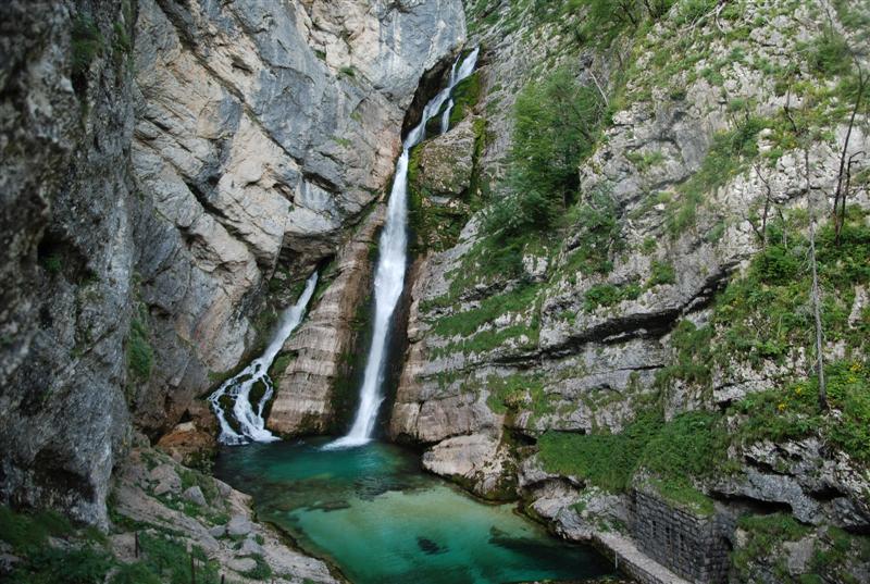 Savica