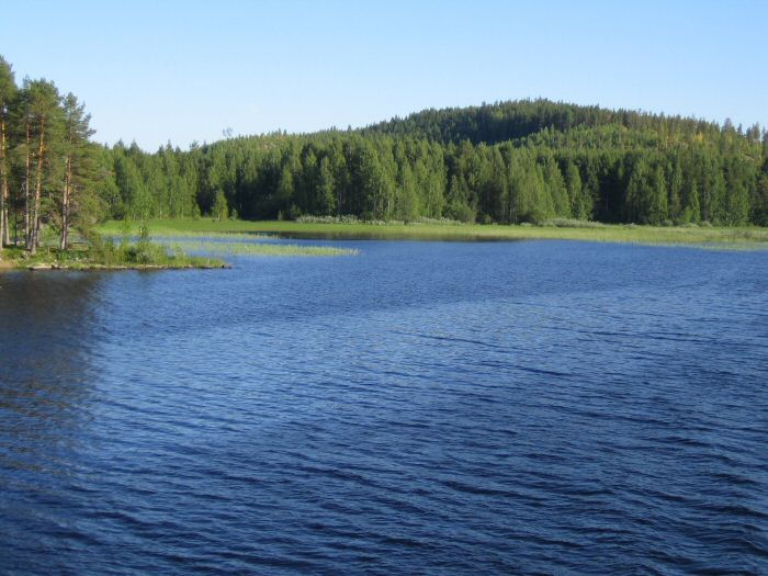 Pielinen