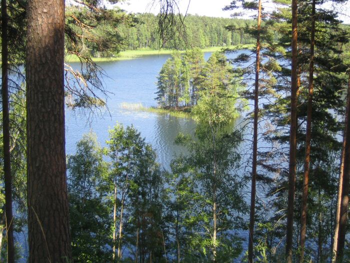Punkaharju