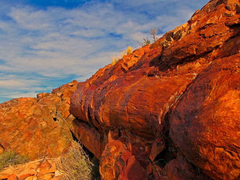 Monumento Nacional<BR>Bosque petrificado (Petrified forest)