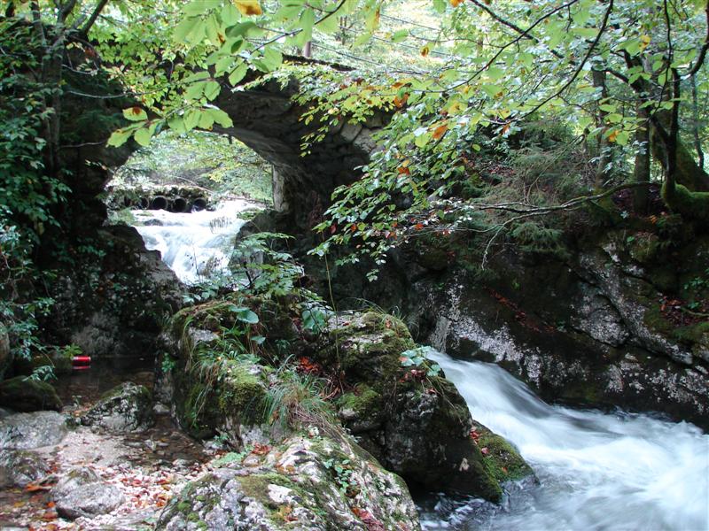 Bohinj