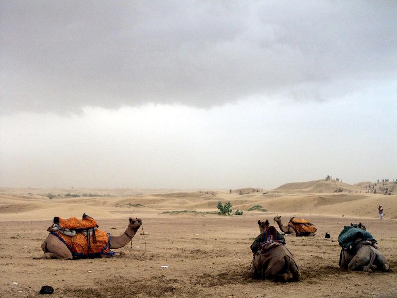 Desierto del Thar