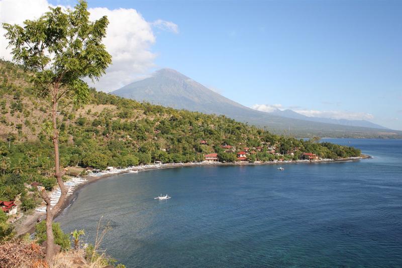 Amed