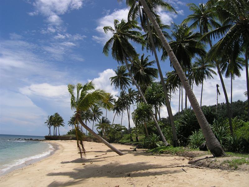 Timor