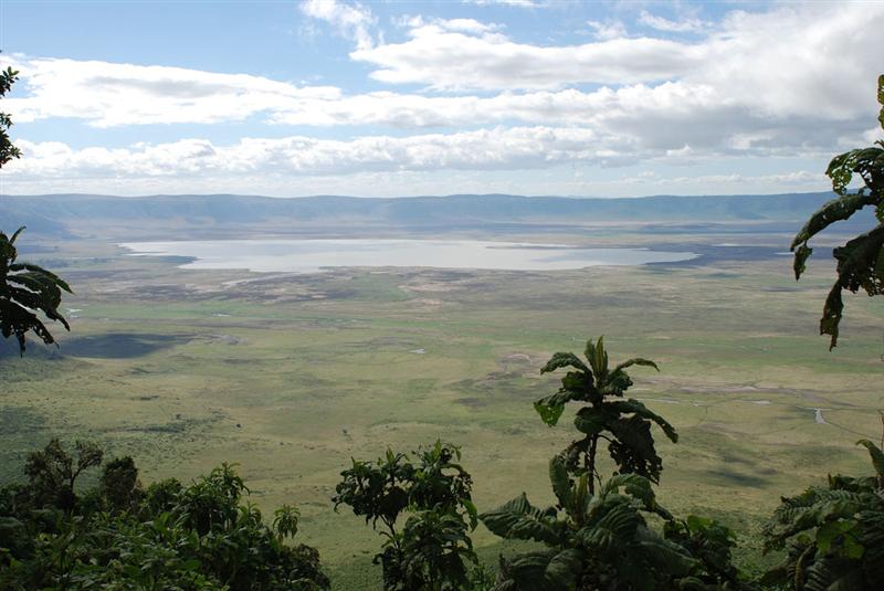 Ngorongoro crater