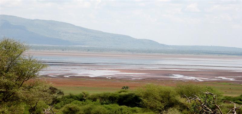Lago Manyara