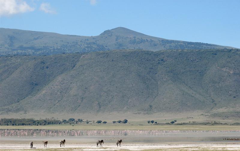 Ngorongoro crater<BR>Zebras and flamingos on Lake Magadi