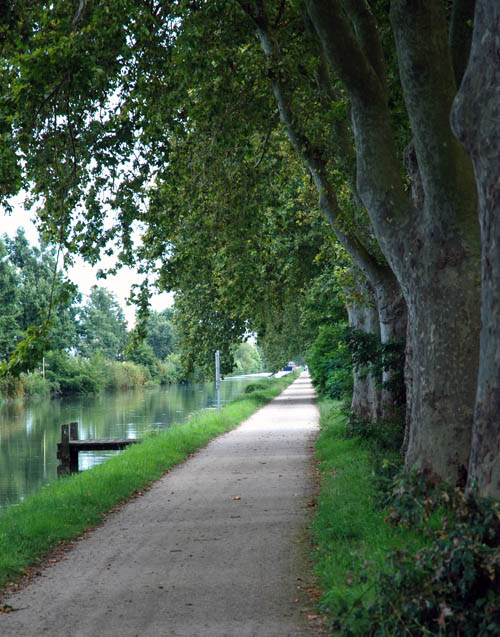 Canal de Garonne greenway (voie verte)