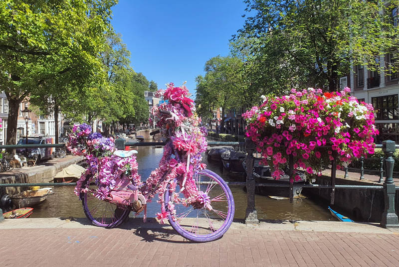 Amsterdam - Canal