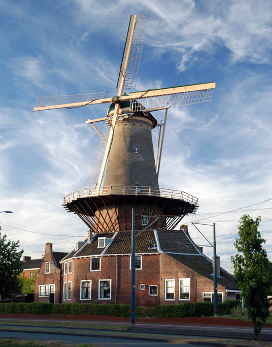 Delft - Molen de Roos