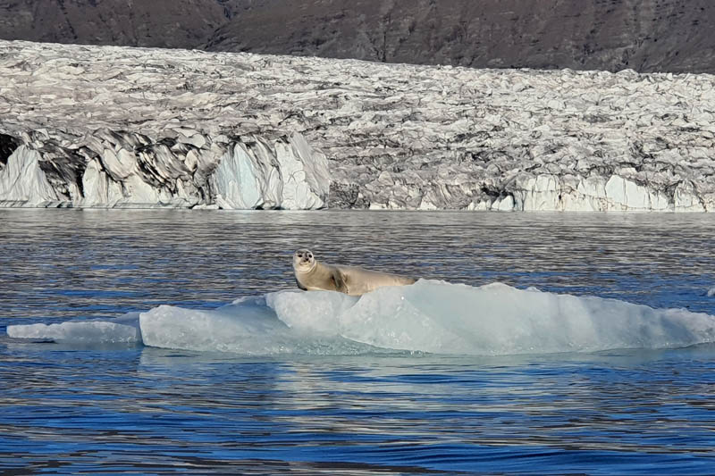 Jokulsarlon