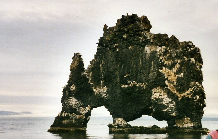 Osar - Hvitserkur