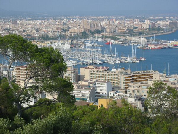 Palma bay